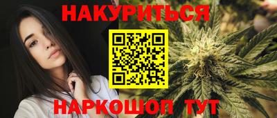 крисы Нальчик