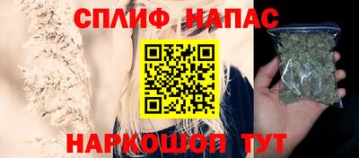 крисы Нальчик