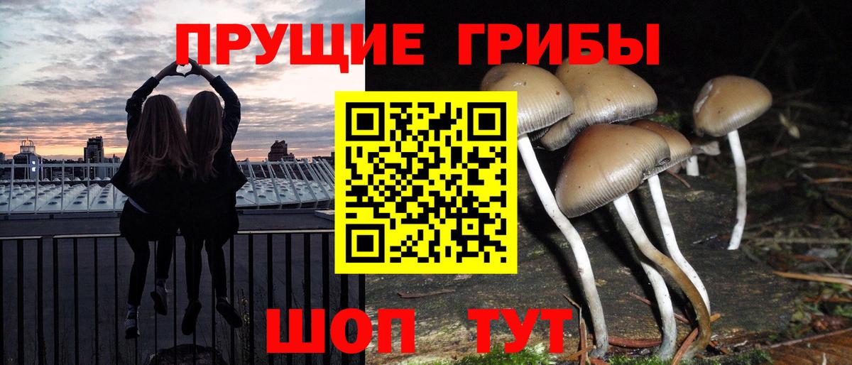 Донецк  Галлюциногенные грибы GOLDEN TEACHER  Вход с VPN  Псилоцибиновые грибы Psilocybe 